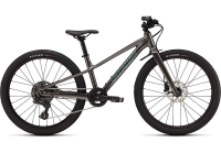 Specialized Riprock 24