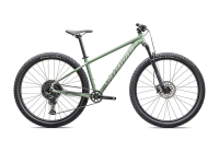 Specialized Rockhopper Comp - 29
