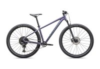 Specialized Rockhopper Comp - 29