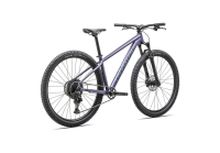 Specialized Rockhopper Comp - 29