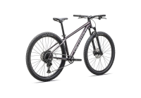 Specialized Rockhopper Comp - 29