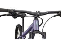 Specialized Rockhopper Comp - 29