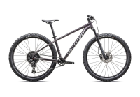 Specialized Rockhopper Comp - 29