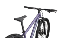 Specialized Rockhopper Comp - 29