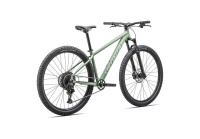 Specialized Rockhopper Comp - 29