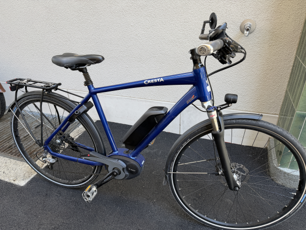 Cresta E-Drive Bosch Giro Plus/Nyon He LX-D 10-Gang